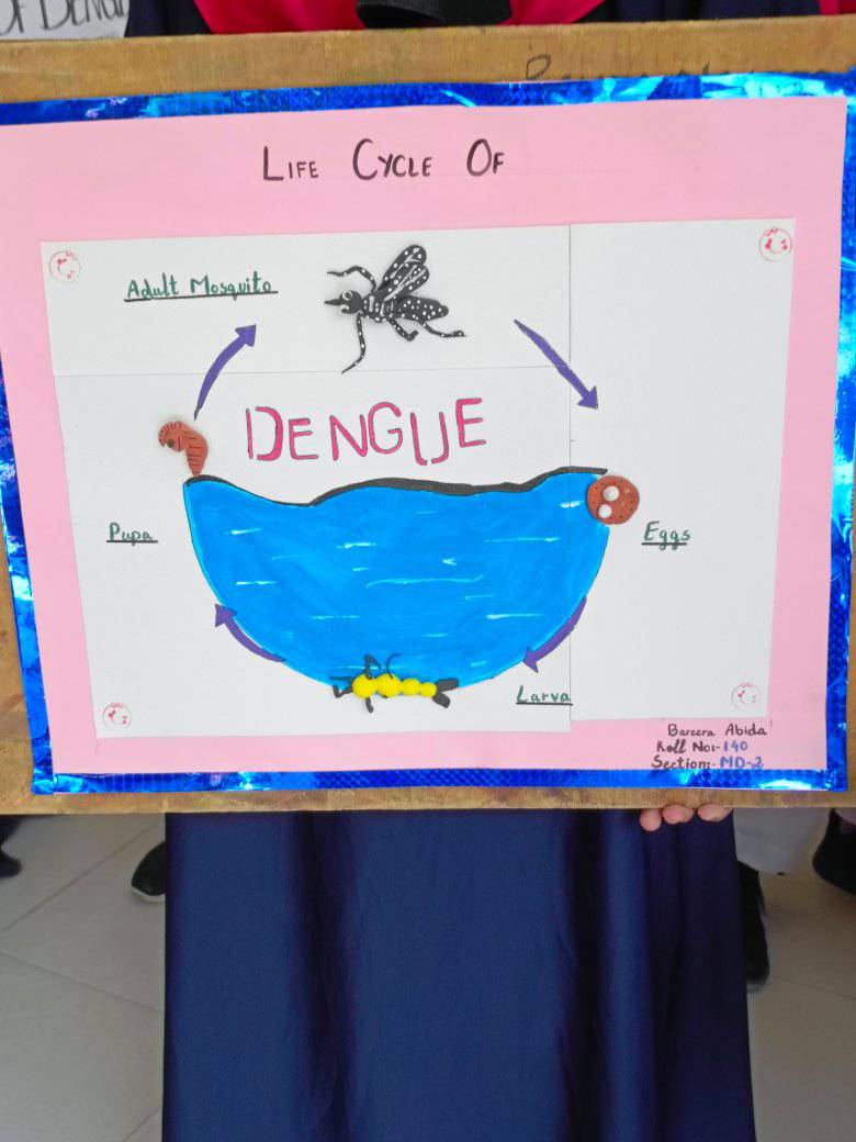 Dengue Awareness